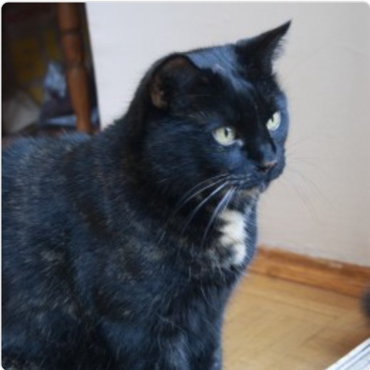 prinzessin & joy foto 1