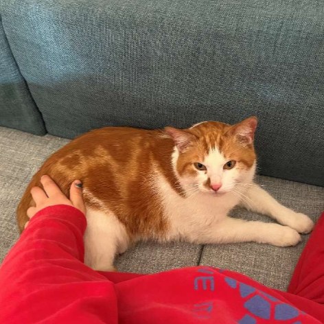 schnurli foto 2