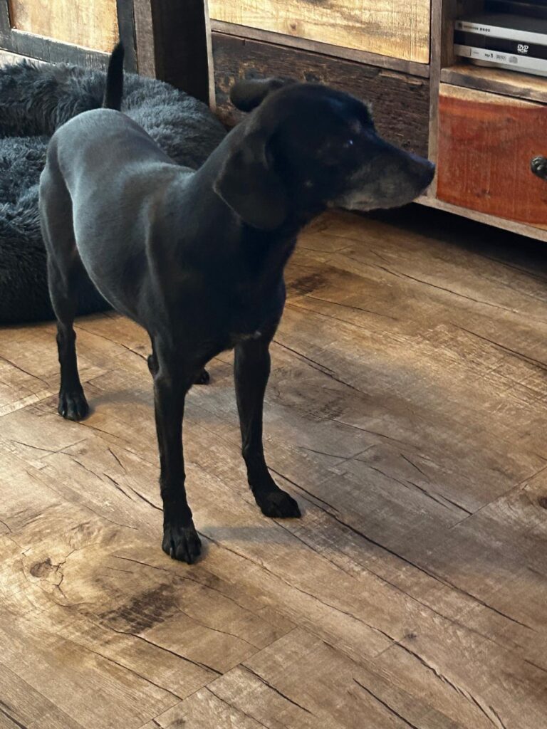 balu foto 2
