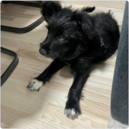 benny foto 1