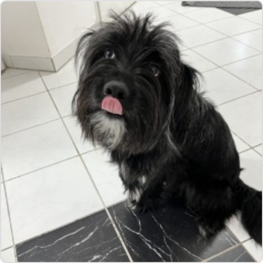 benny foto 2