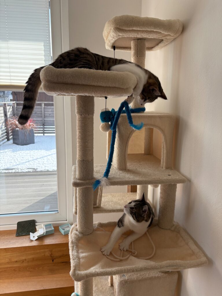 findus und balu foto 2