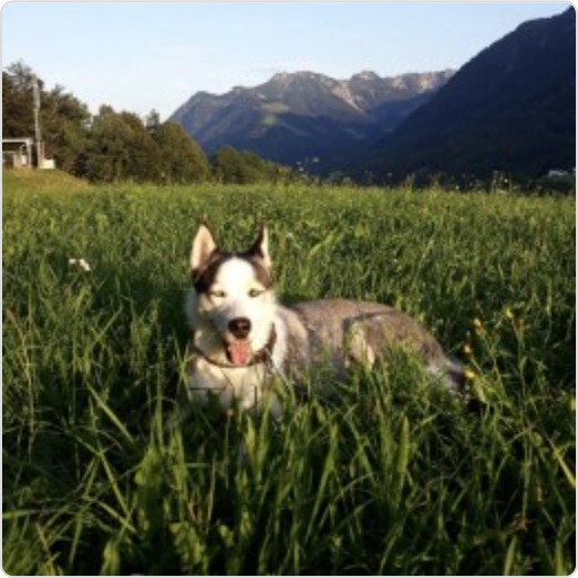 leyla foto 2