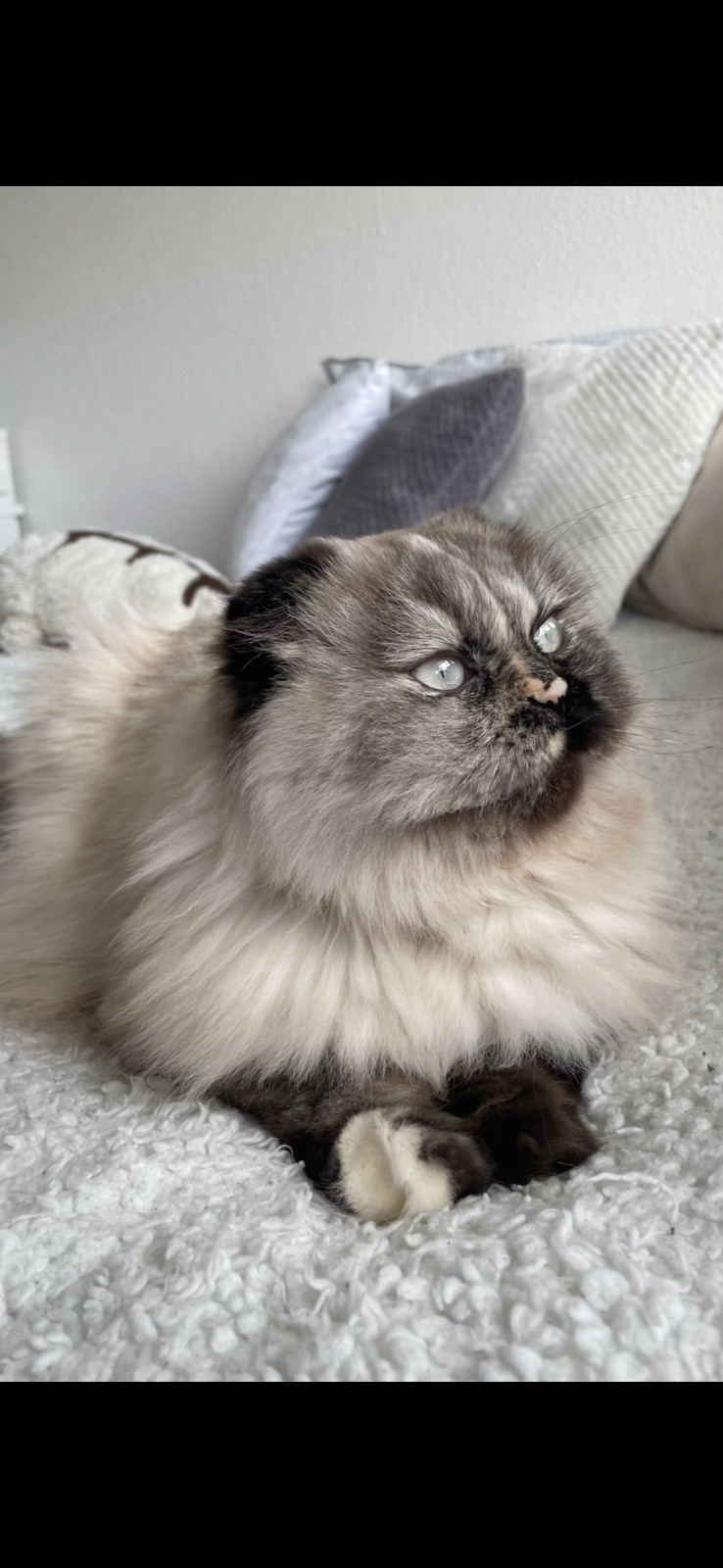 missy foto 1