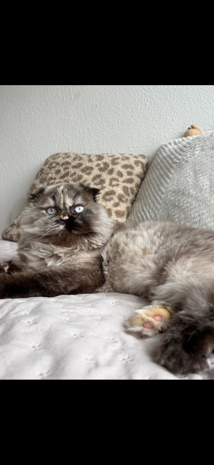 missy foto 2