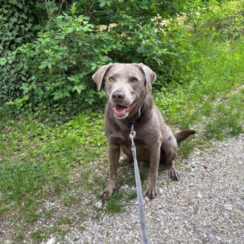 rocco foto 1