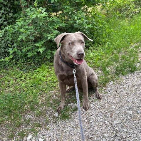 rocco foto 2