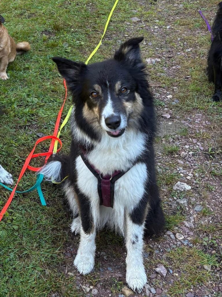 ronja foto 1