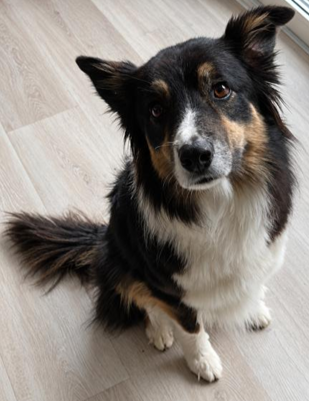 ronja foto 2