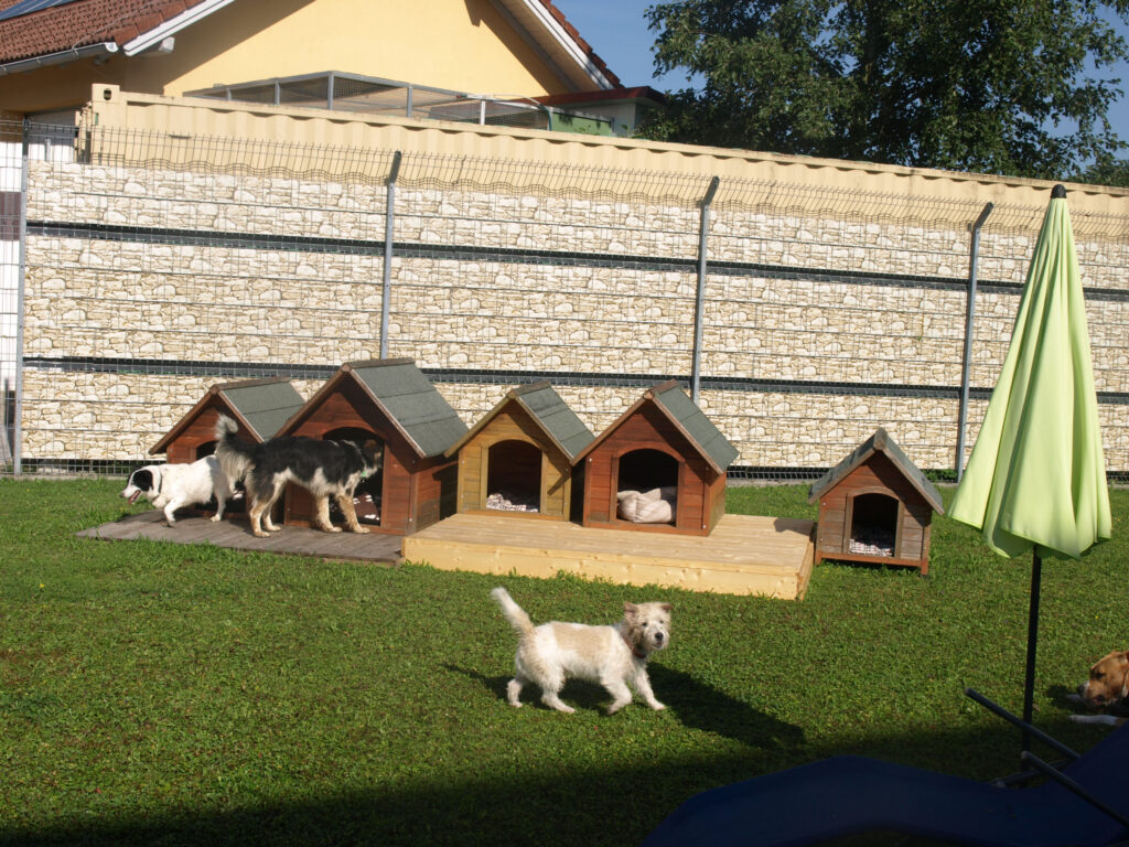 Luftaufnahme des Gelaendes mit Auslaeufen und Hundehuetten