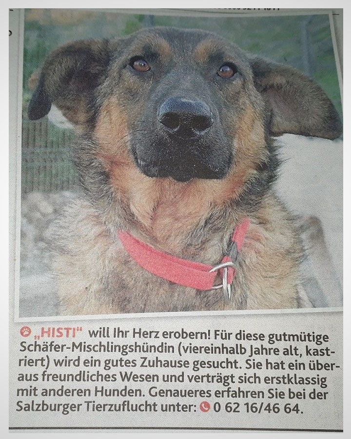 Behandlung Blutohr (Bild 2)