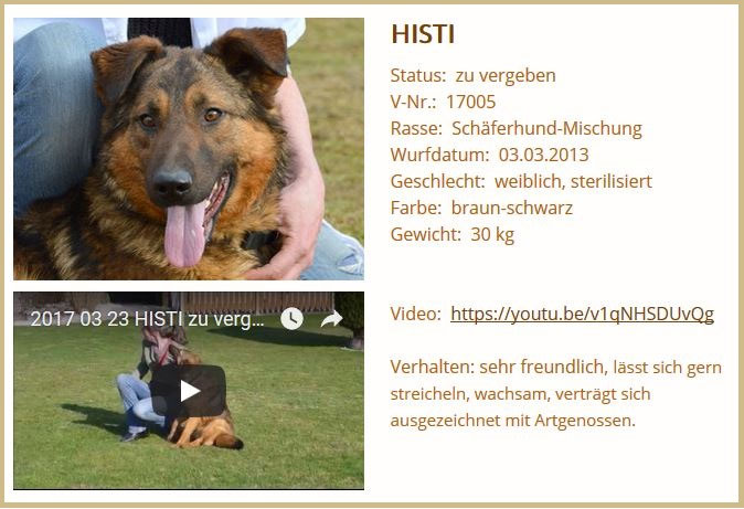 Behandlung Blutohr (Bild 4)