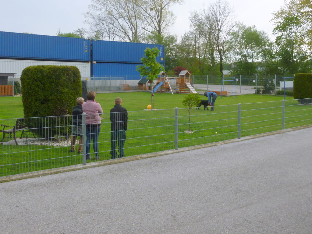 Hundeschule mit schwierigem Hund (Bild 2)