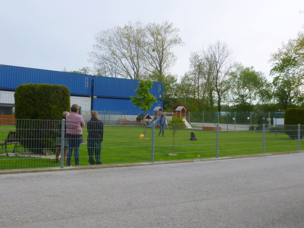 Hundeschule mit schwierigem Hund (Bild 4)