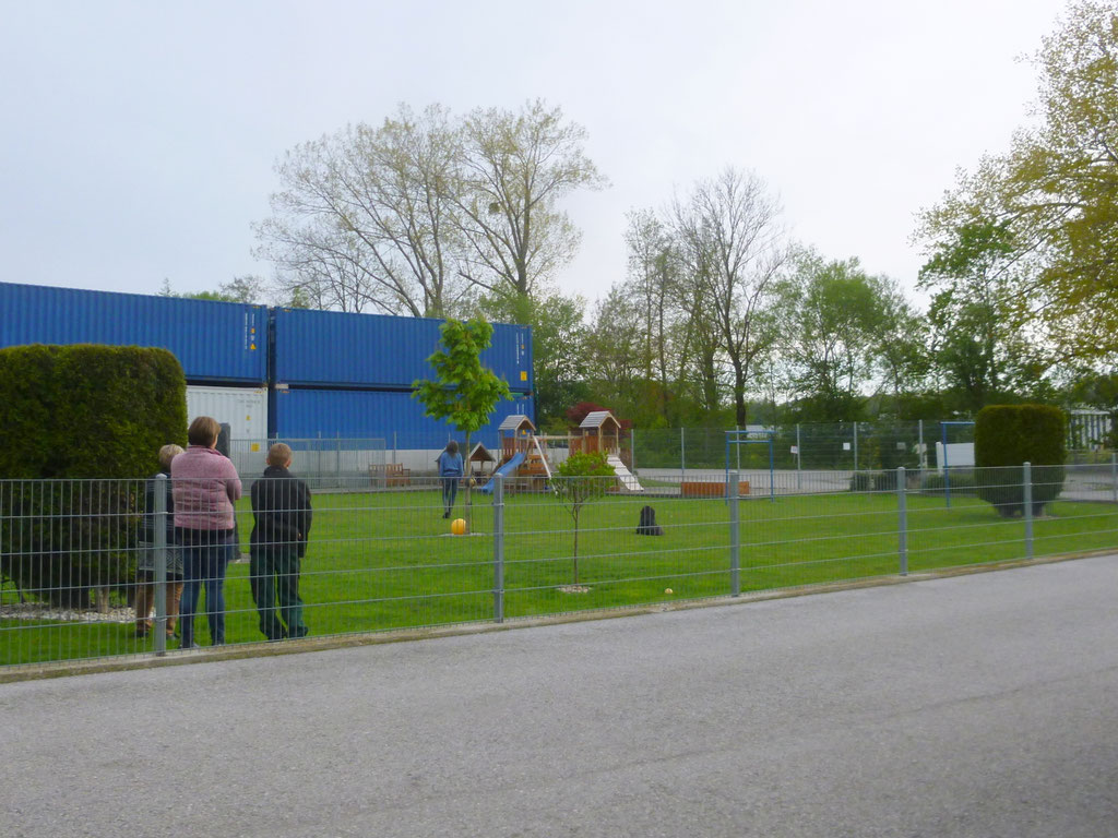 Hundeschule mit schwierigem Hund (Bild 5)