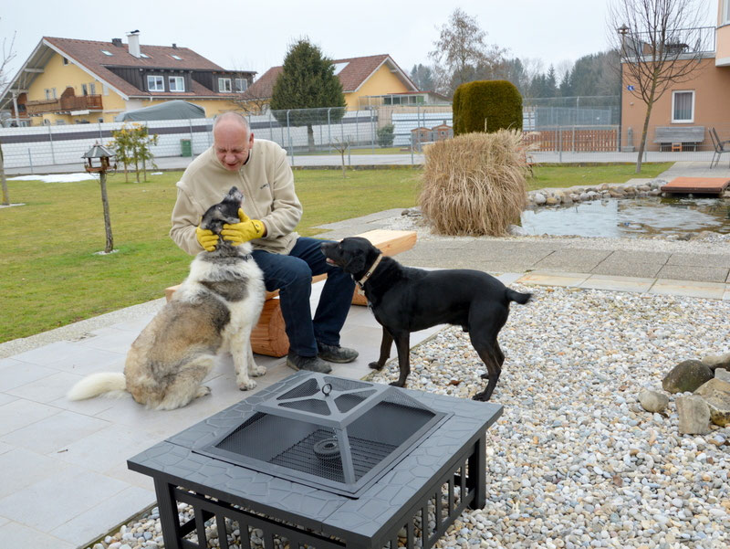 Schüler: RHINA – zusätzlicher SCHNAUZERL-Haushund (Bild 13)