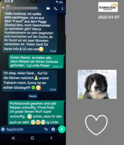 Rückmeldung eines vermittelten Tieres