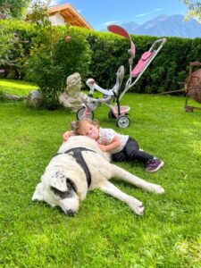 Rückmeldung eines vermittelten Tieres