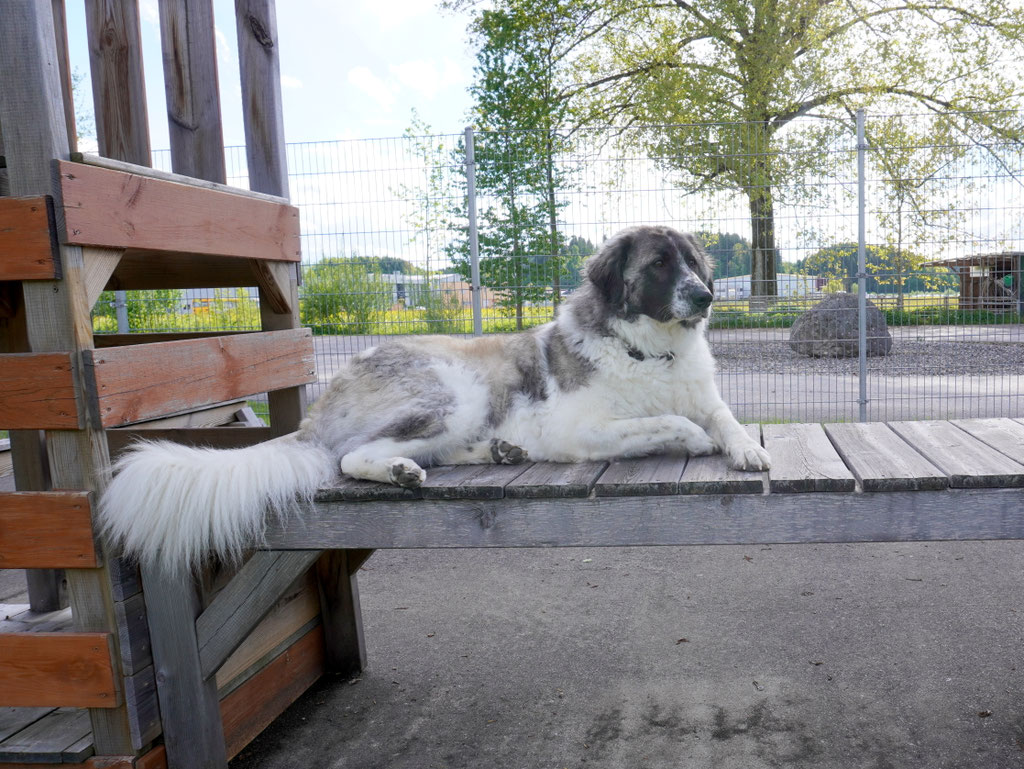 Schüler: RHINA (Teil 2) Unsere eigene Dame (Bild 17)