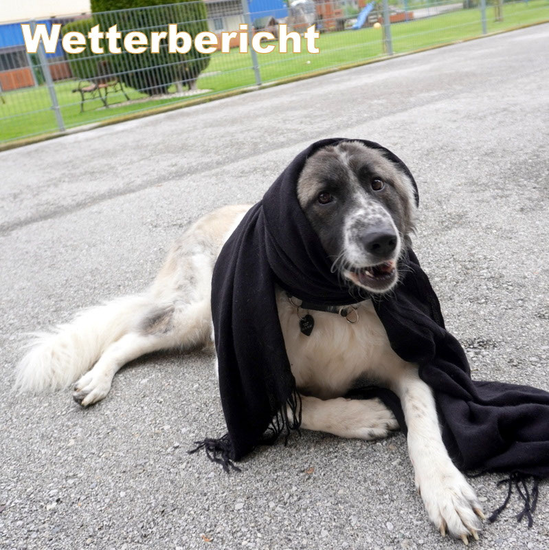 Schüler: RHINA (Teil 2) Unsere eigene Dame (Bild 23)