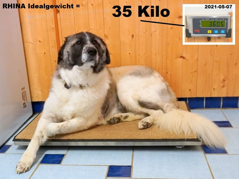 Schüler: RHINA (Teil 2) Unsere eigene Dame (Bild 39)