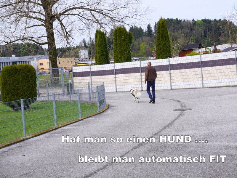 Schüler: RHINA (Teil 2) Unsere eigene Dame (Bild 43)