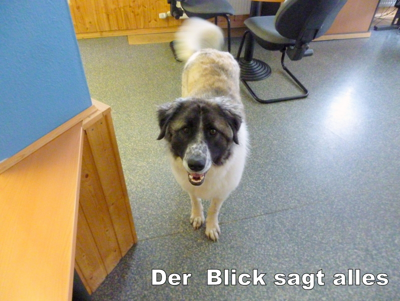 Schüler: RHINA (Teil 2) Unsere eigene Dame (Bild 44)