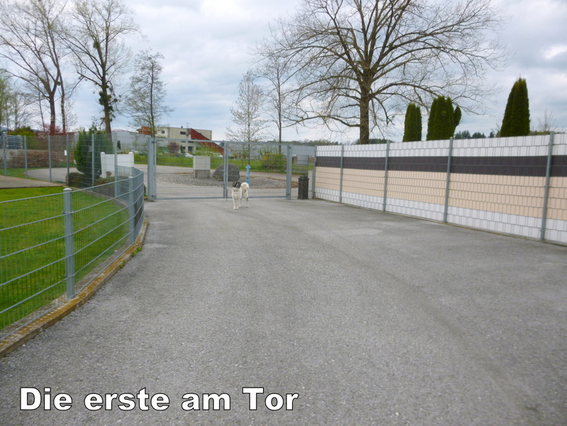 Schüler: RHINA (Teil 2) Unsere eigene Dame (Bild 45)