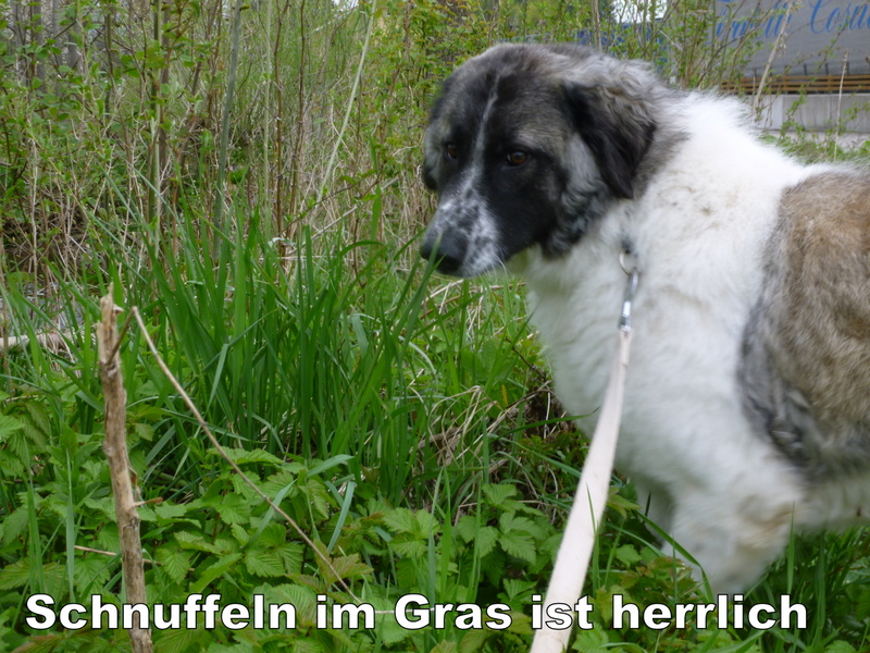 Schüler: RHINA (Teil 2) Unsere eigene Dame (Bild 46)