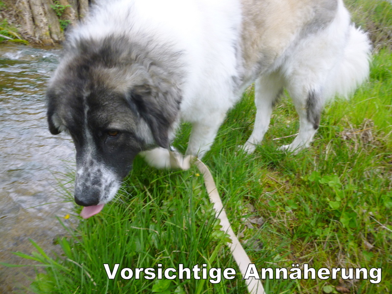 Schüler: RHINA (Teil 2) Unsere eigene Dame (Bild 47)