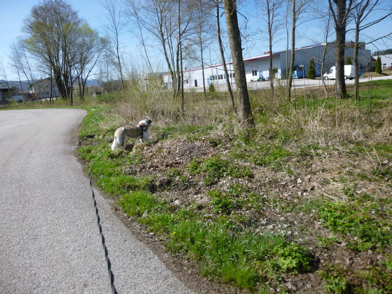 Schüler: RHINA (Teil 2) Unsere eigene Dame (Bild 54)