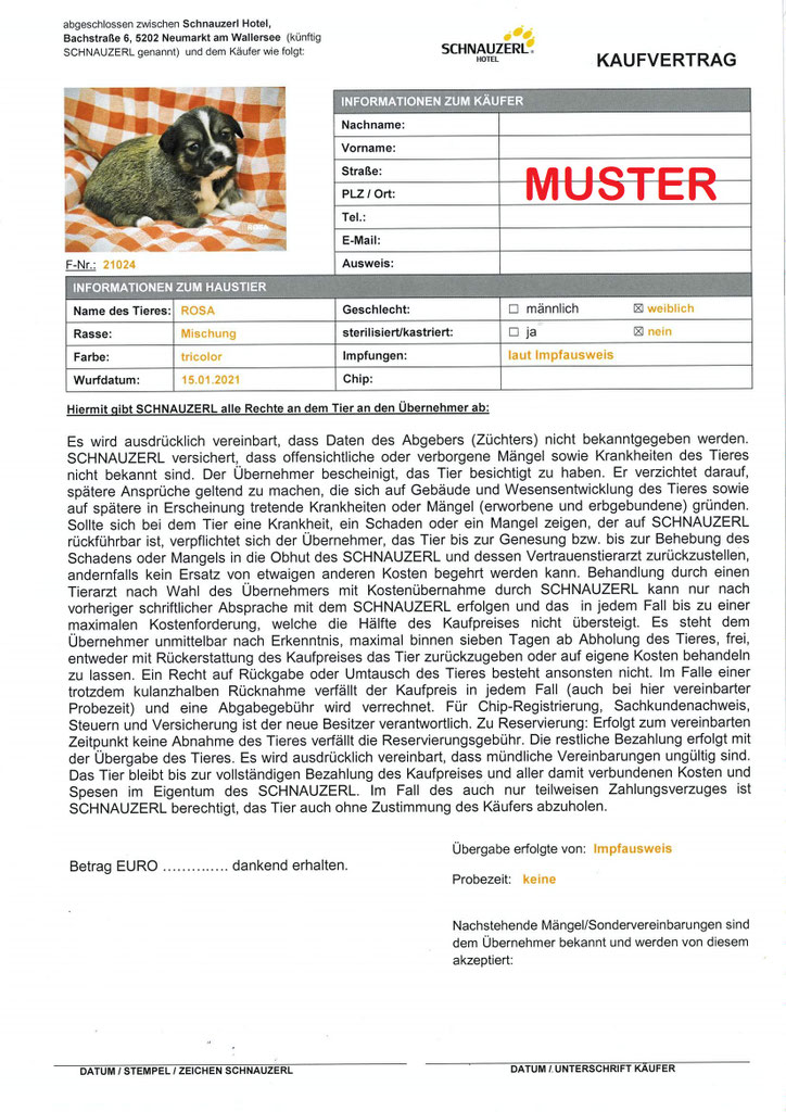 Welpen: R-Wurf bzw. SCHNUFFI ´s (Bild 51)