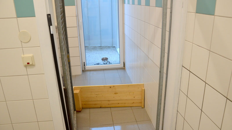 Welpen: R-Wurf bzw. SCHNUFFI ´s (Bild 55)
