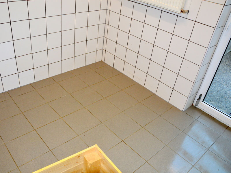 Welpen: R-Wurf bzw. SCHNUFFI ´s (Bild 58)