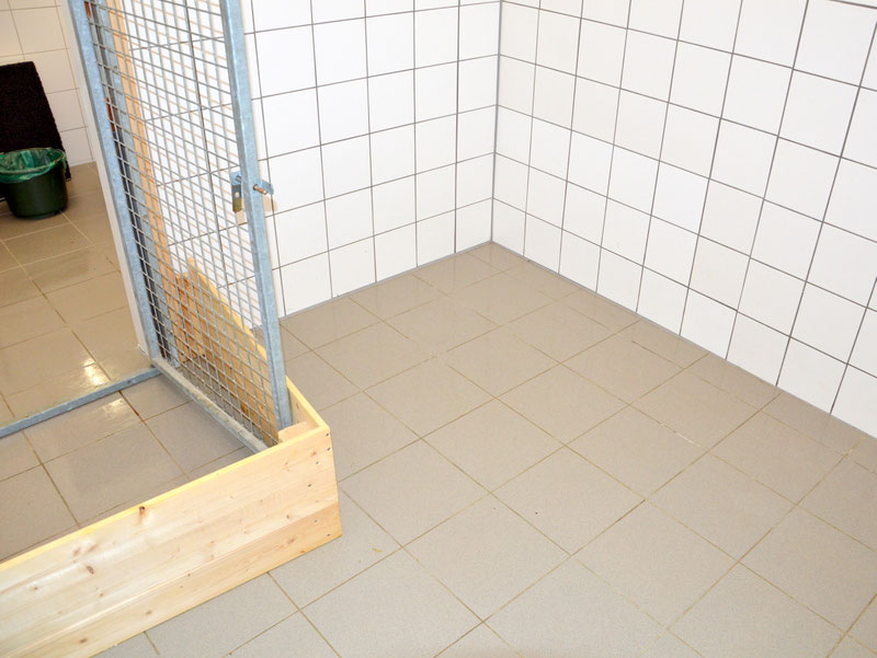 Welpen: R-Wurf bzw. SCHNUFFI ´s (Bild 59)