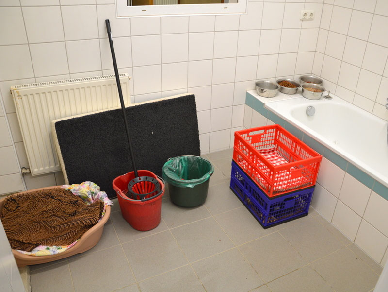 Welpen: R-Wurf bzw. SCHNUFFI ´s (Bild 60)
