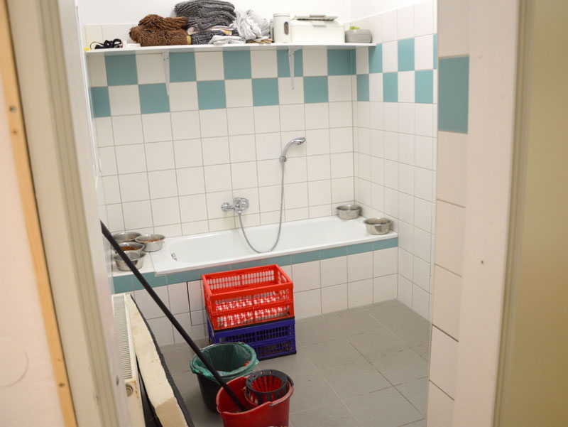 Welpen: R-Wurf bzw. SCHNUFFI ´s (Bild 61)