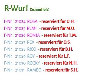 Welpen: R-Wurf bzw. SCHNUFFI ´s (Bild 67)