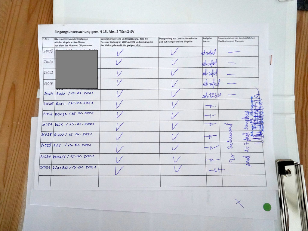 Welpen: R-Wurf bzw. SCHNUFFI ´s (Bild 2)