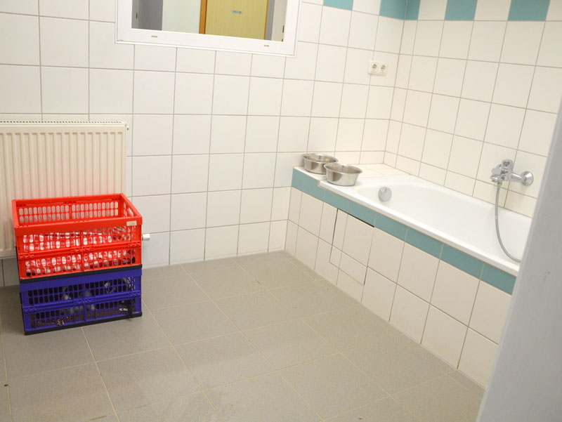 Welpen: R-Wurf bzw. SCHNUFFI ´s (Bild 74)