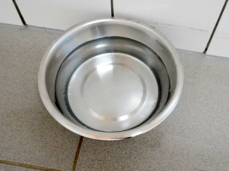 Welpen: R-Wurf bzw. SCHNUFFI ´s (Bild 22)