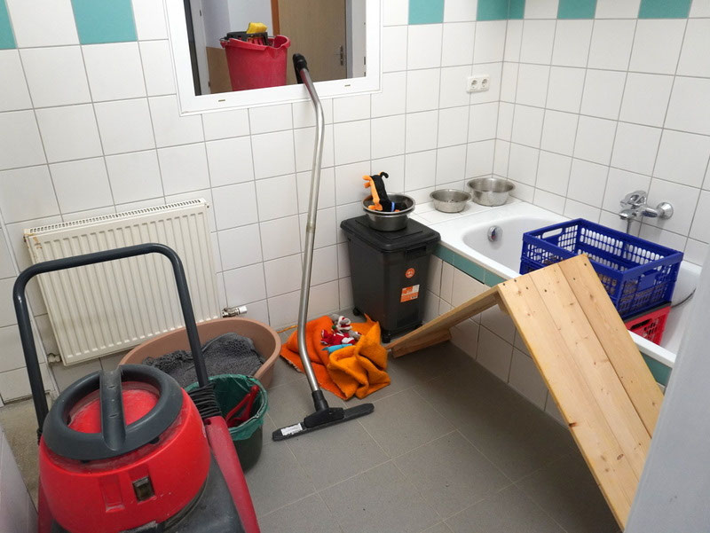 Welpen: R-Wurf bzw. SCHNUFFI ´s (Bild 28)