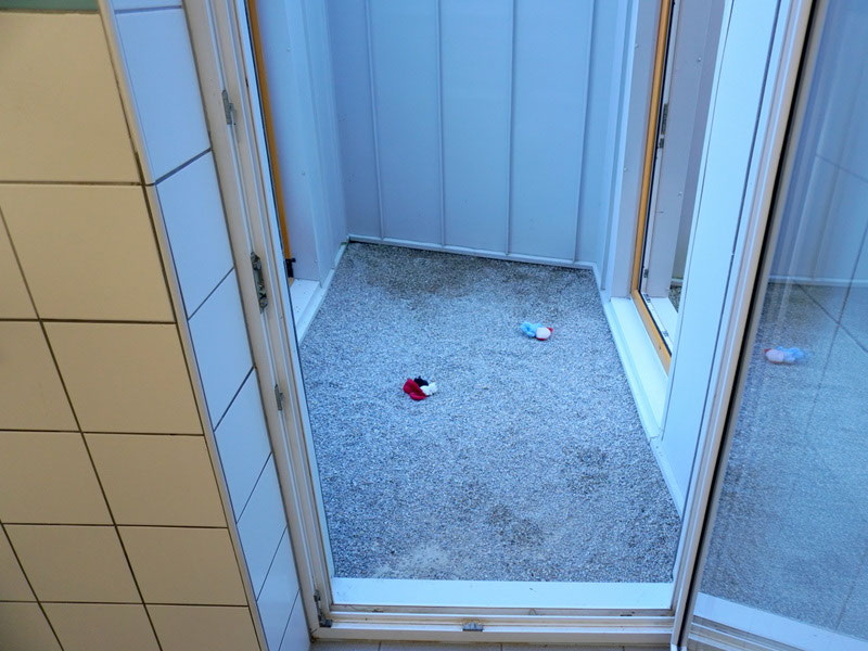Welpen: R-Wurf bzw. SCHNUFFI ´s (Bild 31)