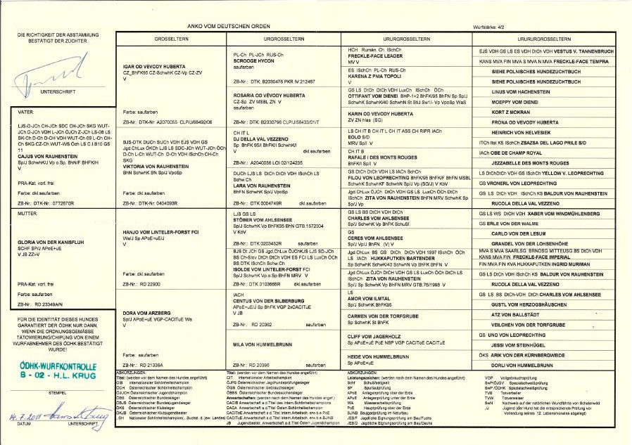 Schüler: Mein Teufelchen AXEL (Bild 20)